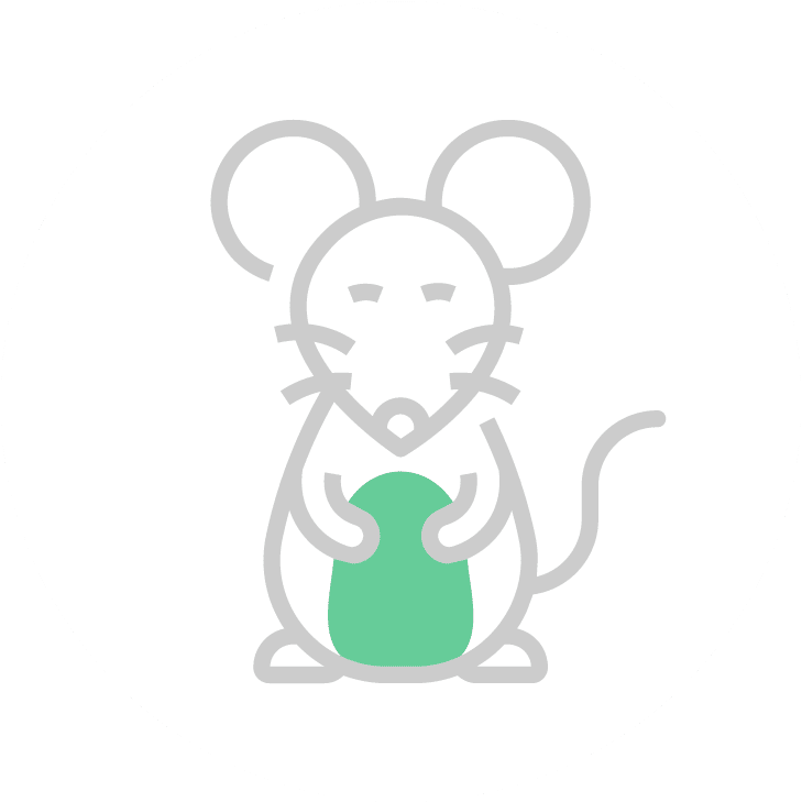 rat